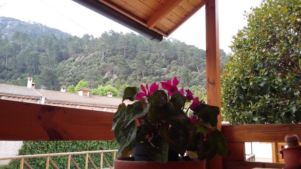 Cabanas De Madera El Rinconcillo Arroyo Frio Eksteriør billede