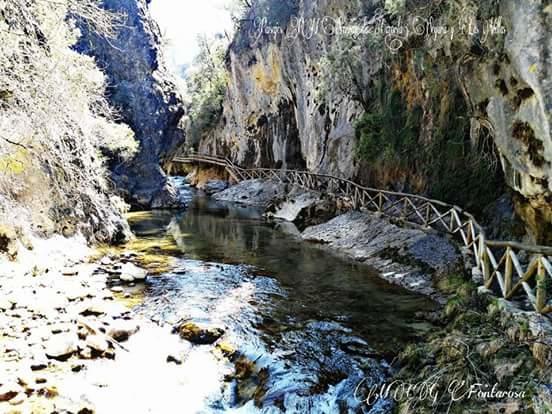Cabanas De Madera El Rinconcillo Arroyo Frio Eksteriør billede